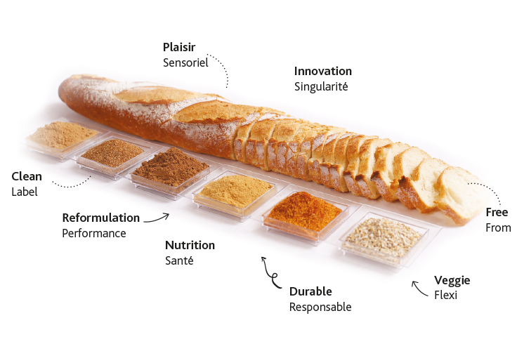 Expertise marketing et tendances blé-farine-pain-pâtisserie - Eurogerm